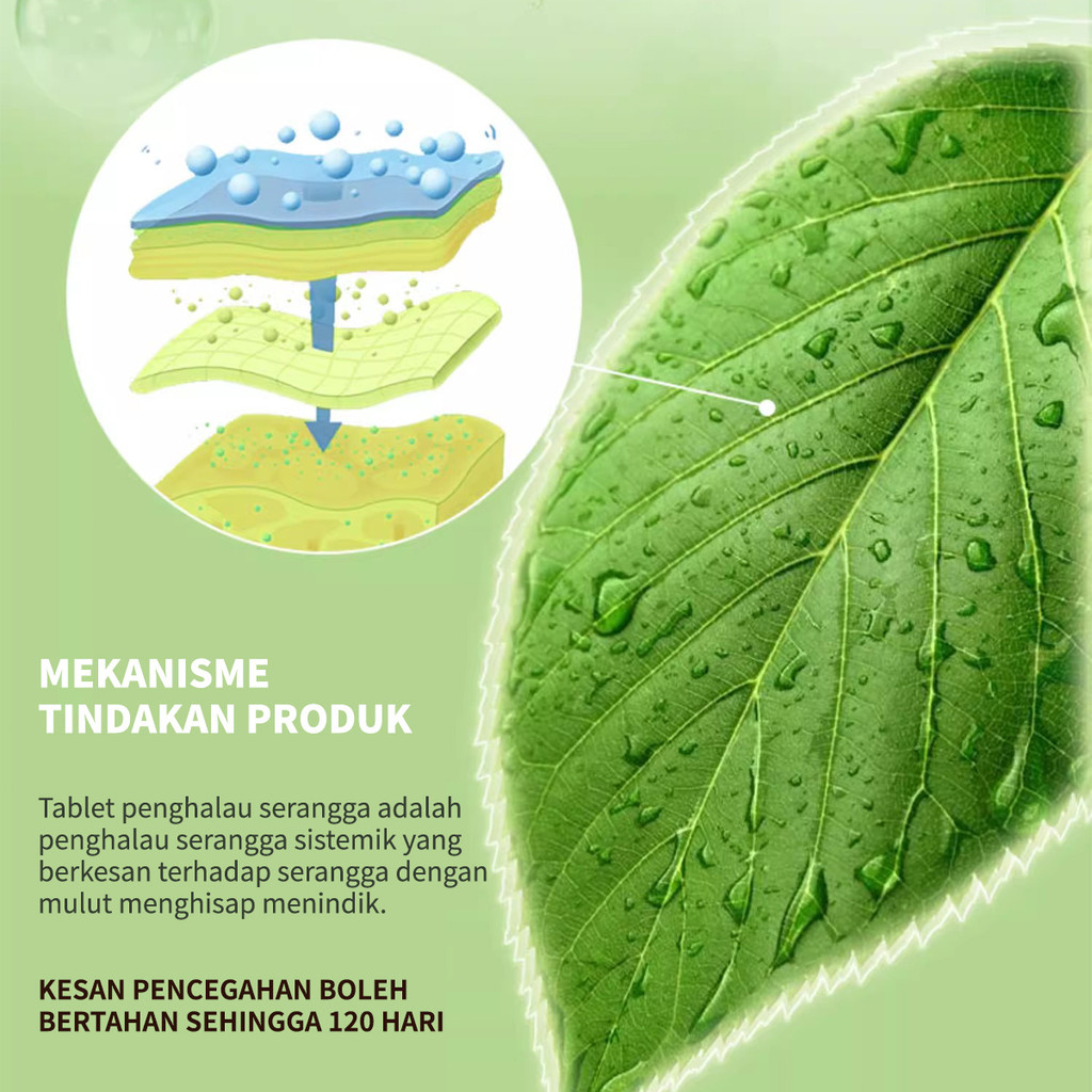 Ubat Serangga Tumbuhan Plant Insect Resistant Tablets Gardening ...