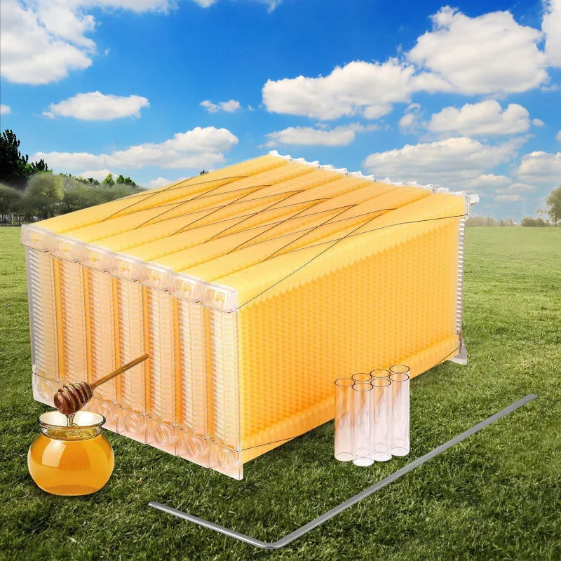 7PCS/set Self Flow Honey Nest Base Bee Spleen Box Base Plastic Bee ...