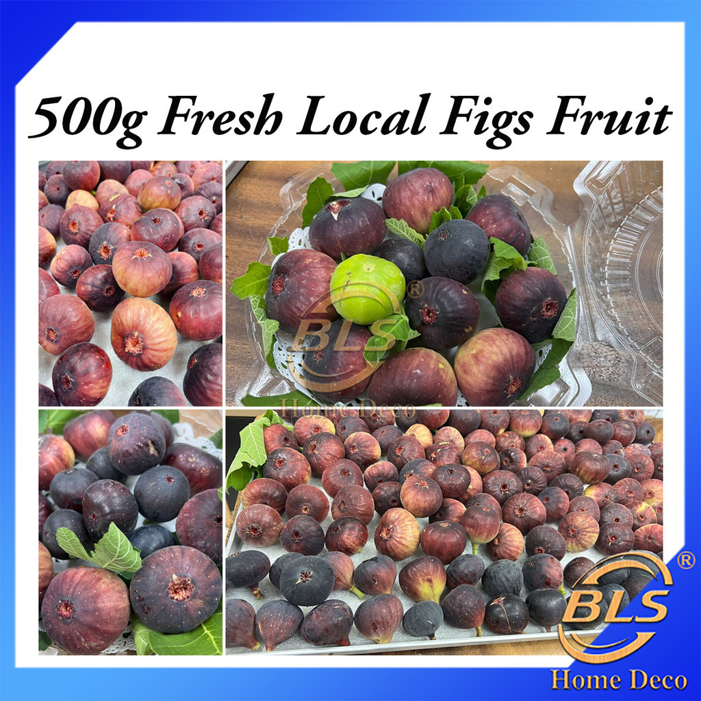 Fresh Local Figs Fruit Buah Tin Segar 500g+-/pack 新鲜无花果 | Shopee Malaysia