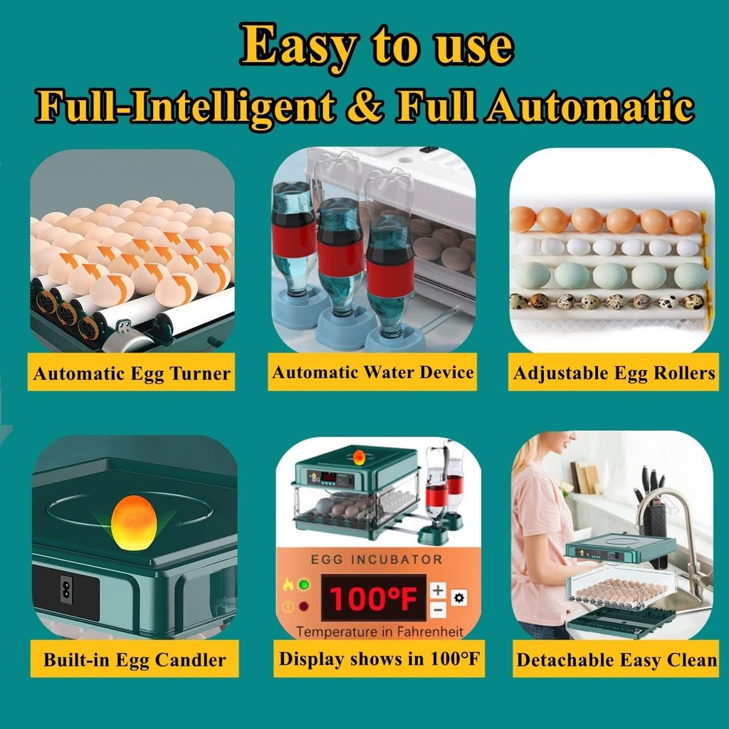 Fully automatic chicken hatching machine with temperature and humidity ...