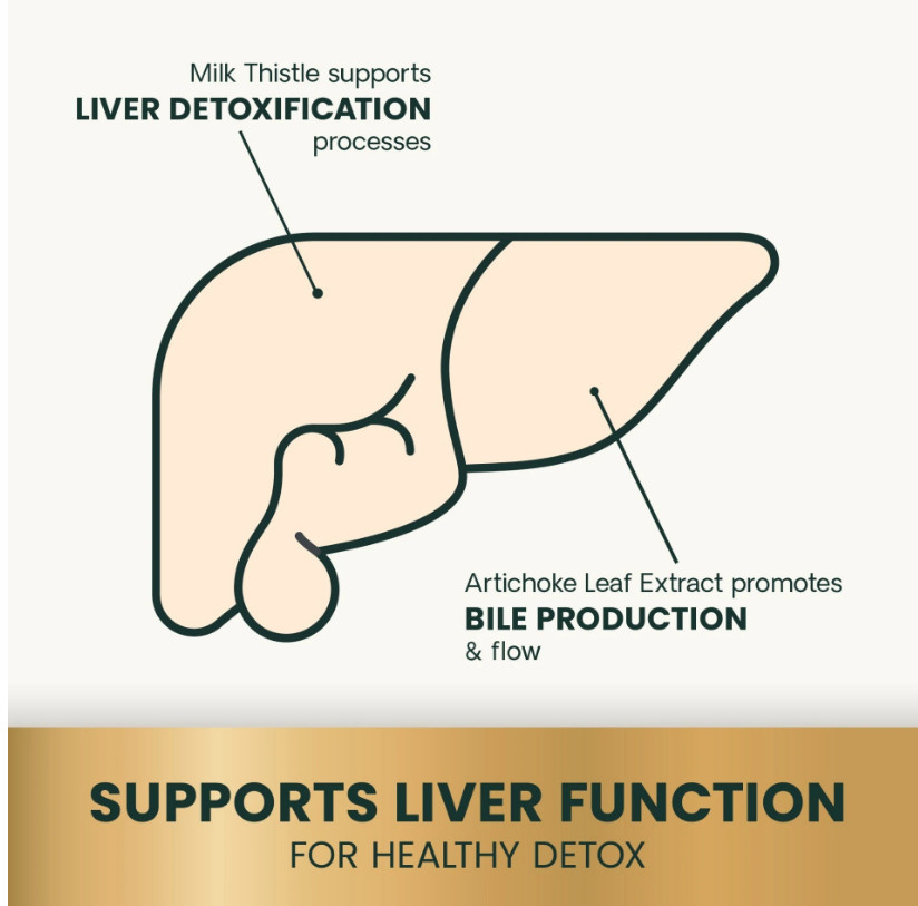 Liver Detox In Dogs With Normal Function Reference: Vetriscience Liver Health For Dogs Supporting Normal Detoxification 60