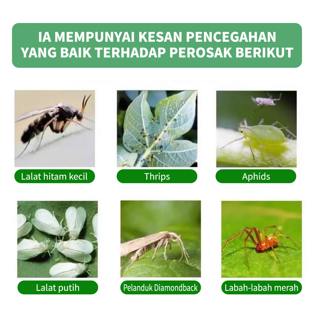 Ubat Serangga Tumbuhan Plant Insect Resistant Tablets Gardening ...