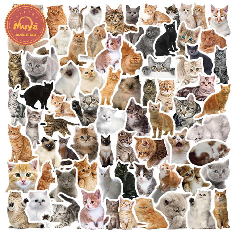 MUYA 100pcs Cute Cat Stickers Waterproof Animal Vinyl Stickers for ...