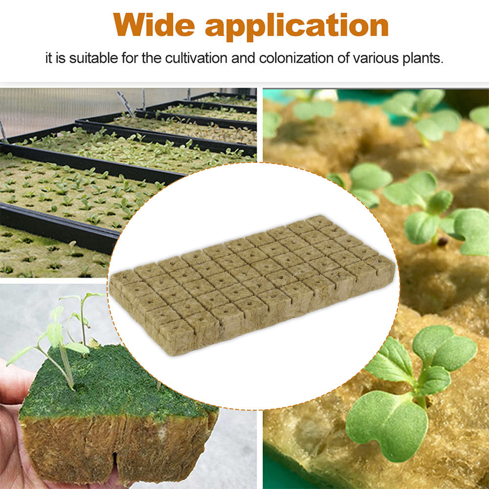 Hydroponic Growing Cubes - Rockwool Starter Plugs For Seedlings & Clones