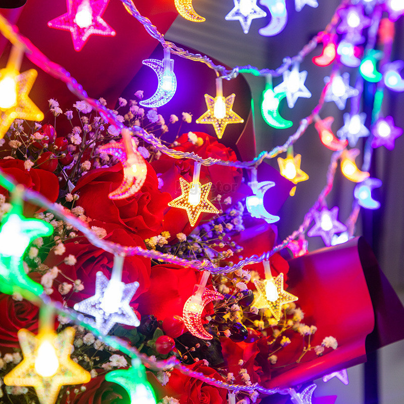 Ligyetor Ramadan Light Star String Light Moon Fairy Lights for Eid ...