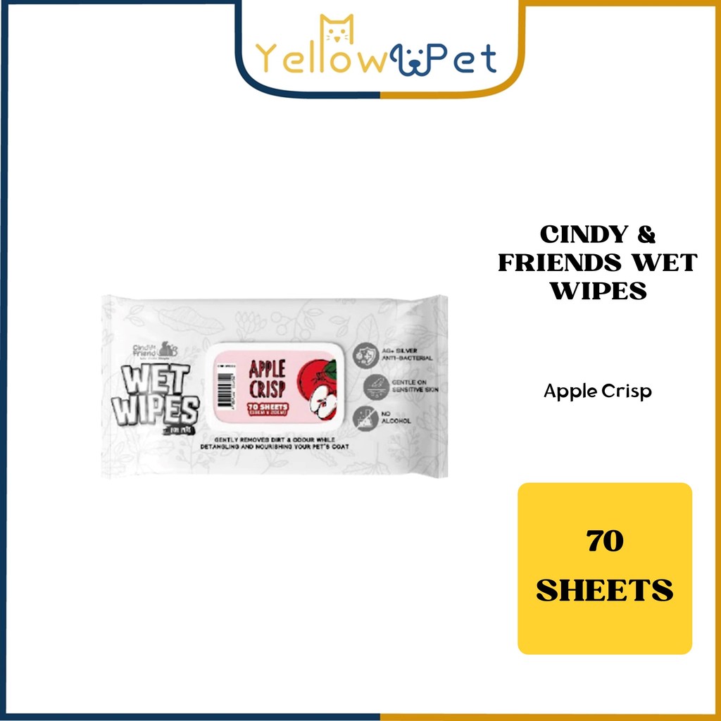 Cindy's Friend Wet Tissue 70 Sheets | Shopee Malaysia