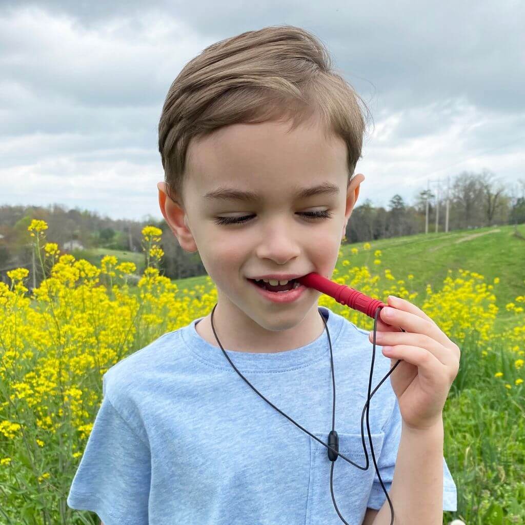 ARK Bite Saber Silicone Fidget Necklace | Sensory Wearable Pendant for ...