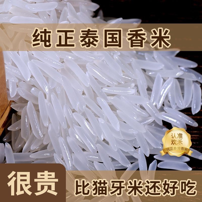 Imported Pure Thai Fragrant Rice [2023 New Rice] Extra Long Grain Cat ...