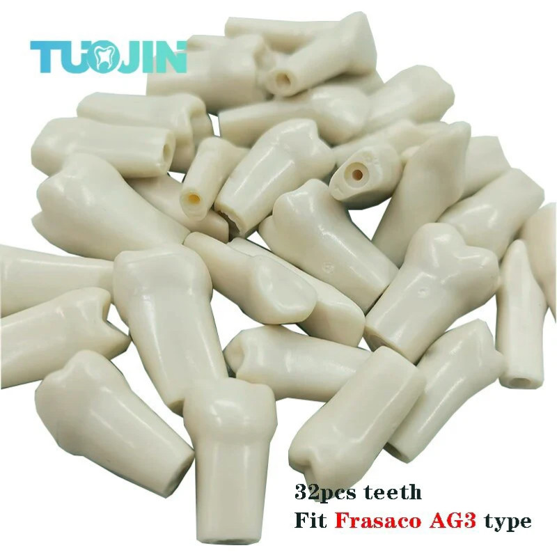 Dental Teeth Model Full teeth 32Pcs Replacement Tooth Particles Fit F ...