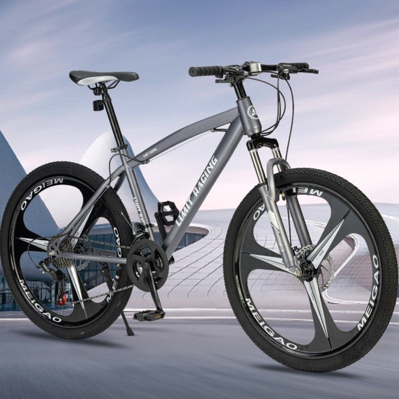 Speed Variable Bicycle Alloy Magnesium Mountain Integrated Wheel Bike ...