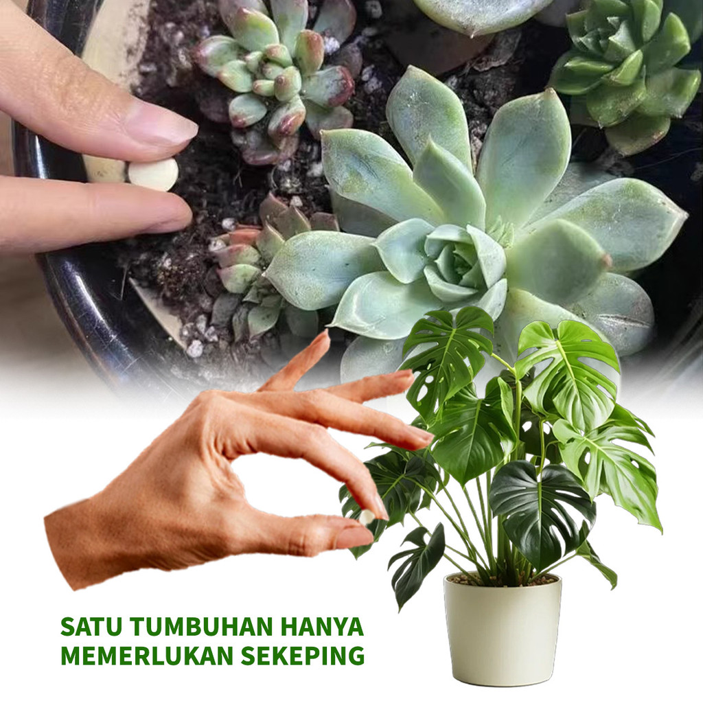 Ubat Serangga Tumbuhan Plant Insect Resistant Tablets Gardening ...