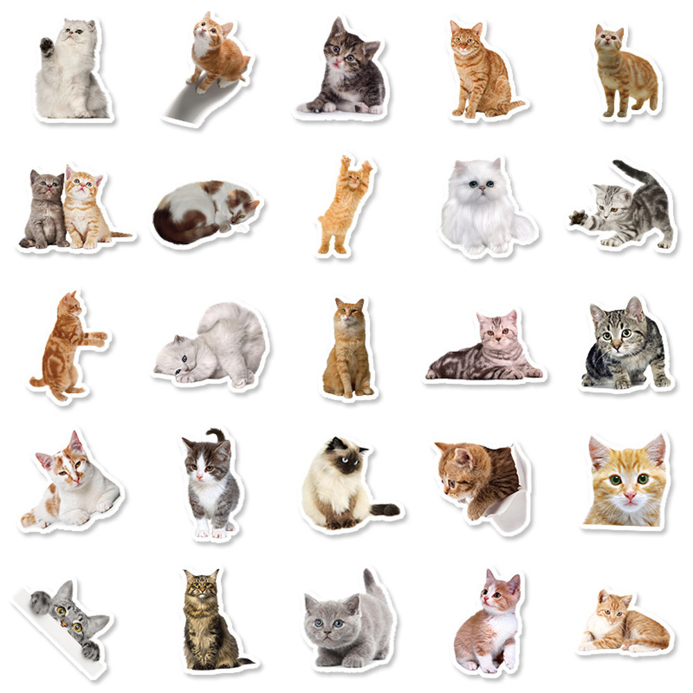 MUYA 100pcs Cute Cat Stickers Waterproof Animal Vinyl Stickers for ...