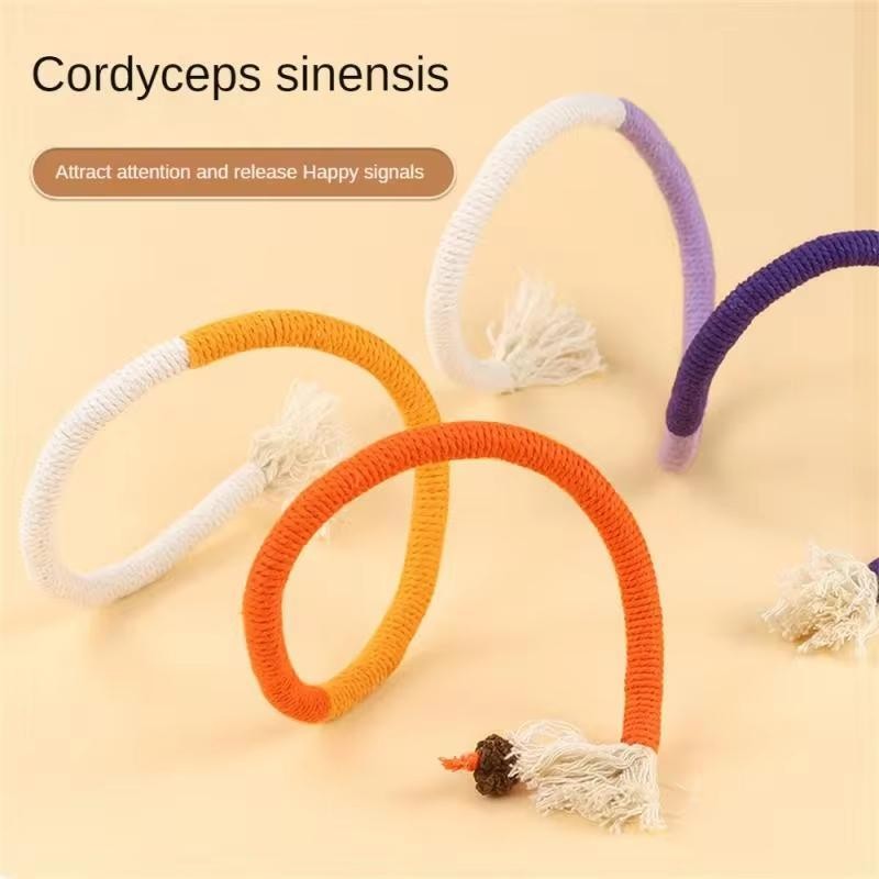 mainan kucing Catnip Toy Cat Bite Rope Toy Cat Teeth Grinding Rope Cat ...