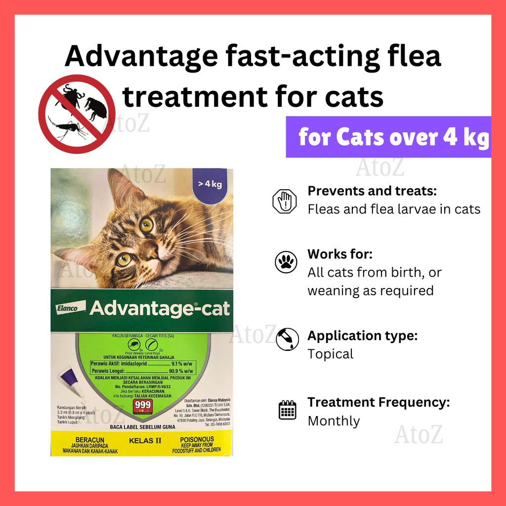 View of Advantage fast acting flea treatment for cats above 4kg | Shopee Malaysia