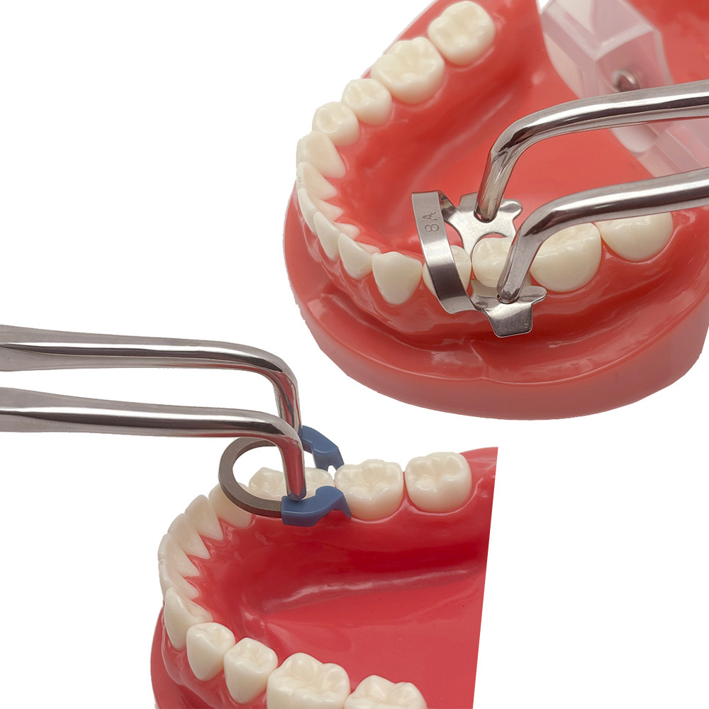 Pince à Matrice Dentaire - Sectional Matrix Band - Outil Dentiste - Neuf