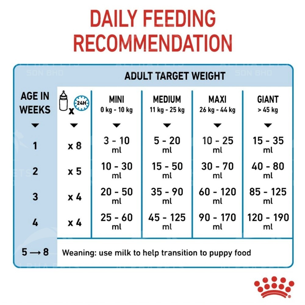 POODEE ROYAL CANIN Baby Cat Milk Powder Baby Dog Milk Powder 300g Susu