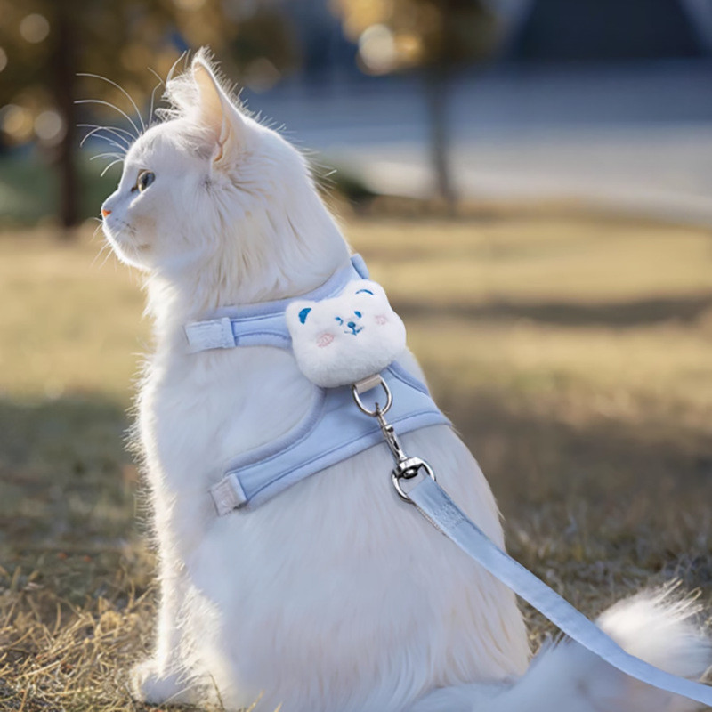 Cat traction rope anti-break free go out special rope puppy cartoon ...