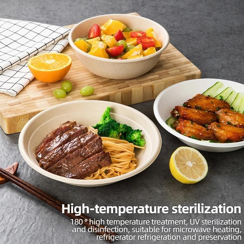 Disposable Paper Plate Bowl Cane Pulp Biodegradable BBQ Birthday Cake ...