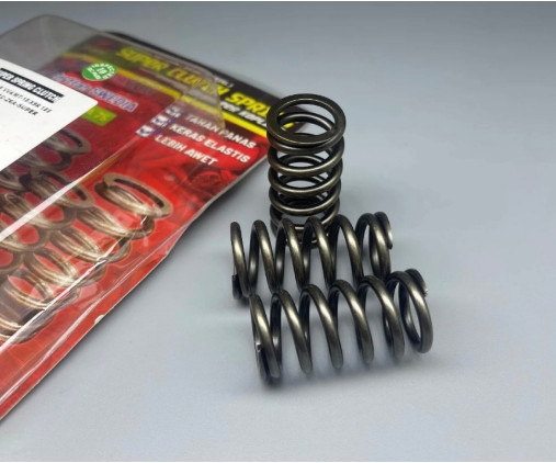 FREE SHIPPING *** Y16ZR / R15 / MT15 BRT RACING CLUTCH SPRING ( 3PCS ...