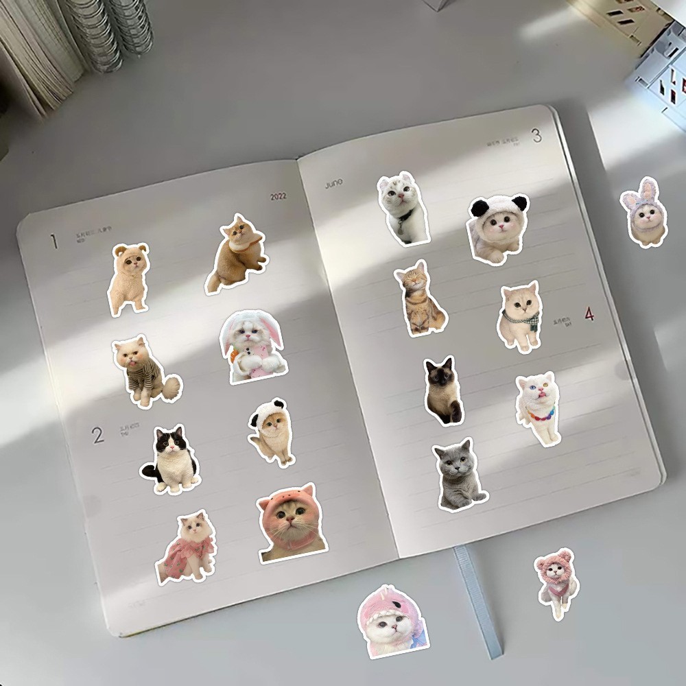 MEOW Cat Cute 60 pcs DIY Waterproof Non Repeating Stickers Pack ...