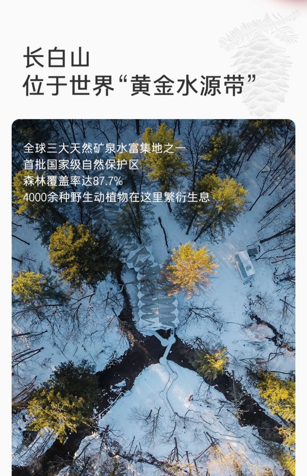 Nongfu Spring Air Mineral【🔥新品🔥】农夫山泉长白山天然矿泉水小瓶矿泉水380ml Nongfu Spring ...
