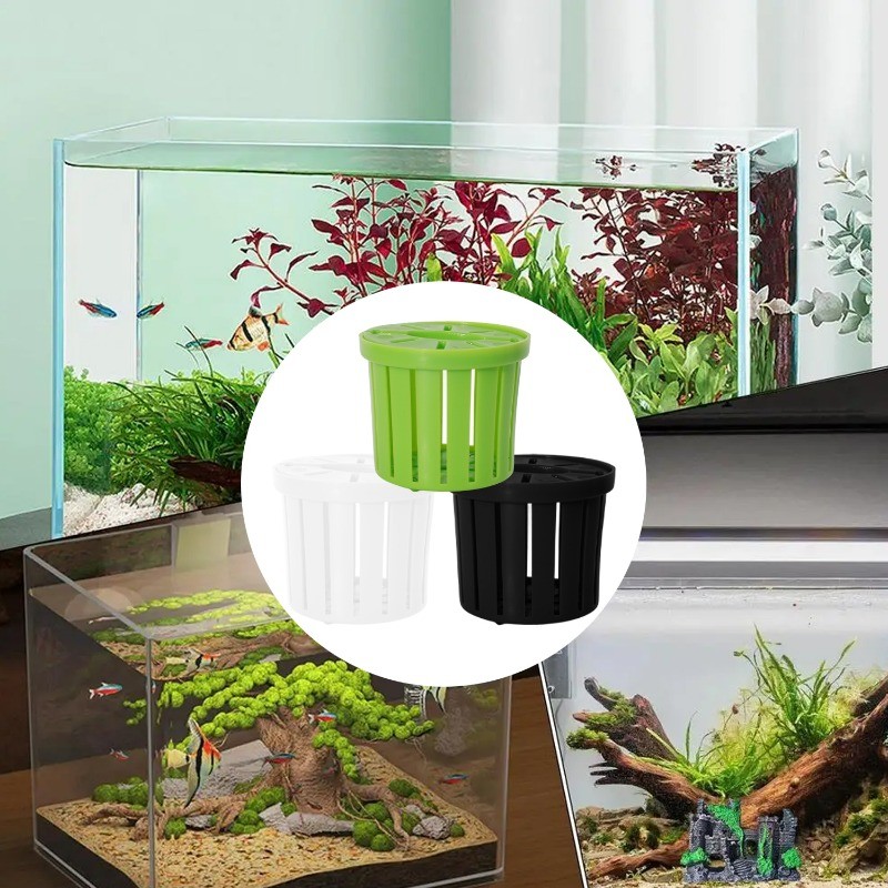 Curated visual reference: Gallery Detail: Fish Tank Planting Basket Set For Home Aquariums