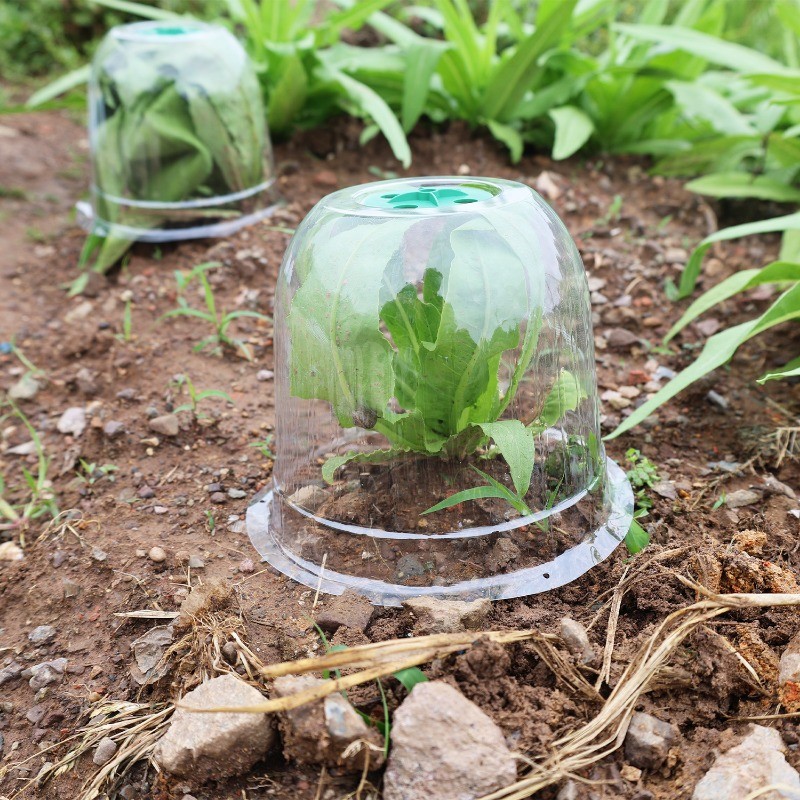 Lightweight Reusable Adjustable Ventilation Vegetable Seedling ...