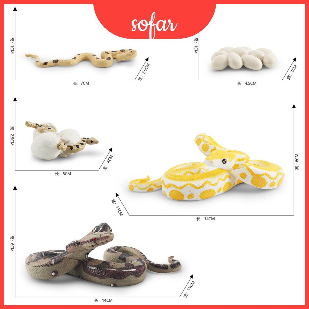 Realistic Pvc Childrens Python Growth Cycle Model Set For Learning Fun ...