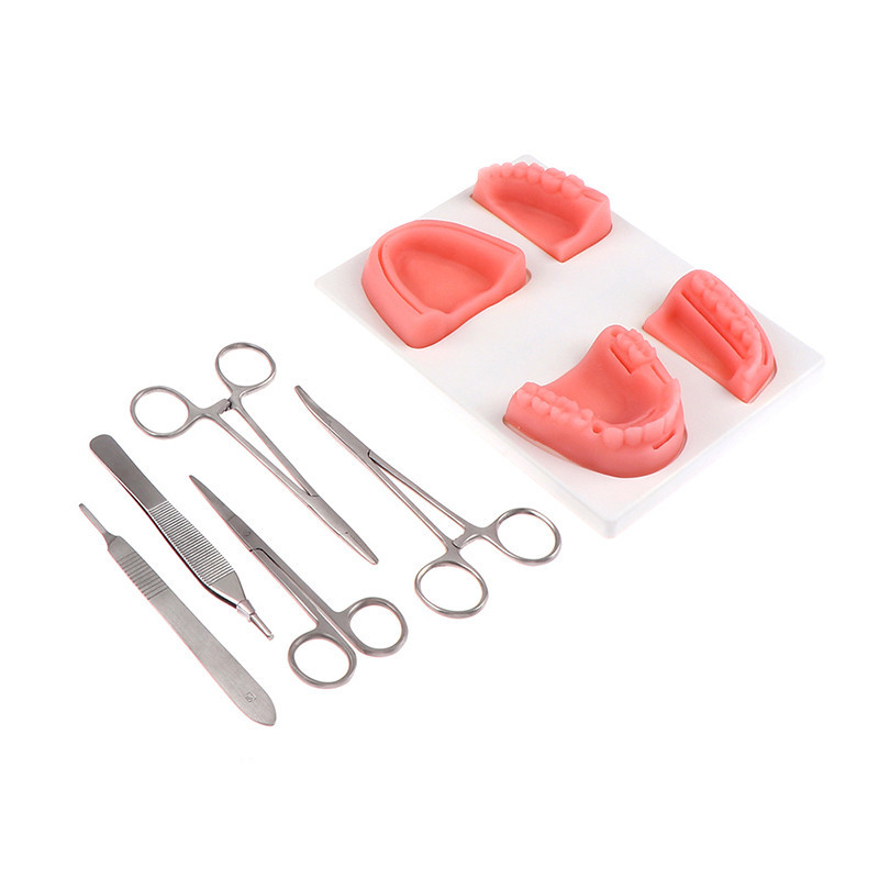 Dental Suture Training Kit, Dental Suture Practice Kit for Gum Cutting & Gingival Suturing, Best Dental Suture Practice Pads for Dental School Students (Training USE ONLY) in Kenya | Sutures