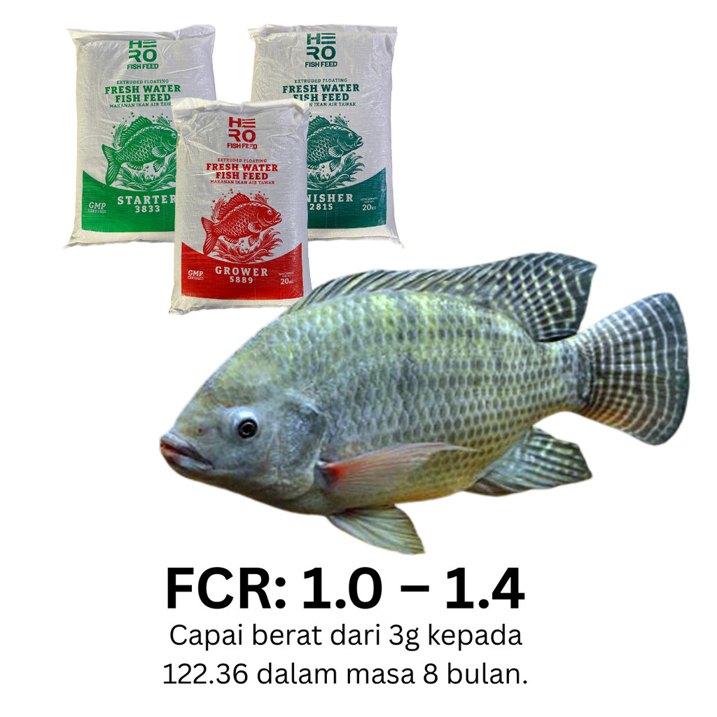 [1KG] [REPACK] DEDAK IKAN AIR TAWAR | IKAN TALAPIA LELE KALOI PUYU KELI ...