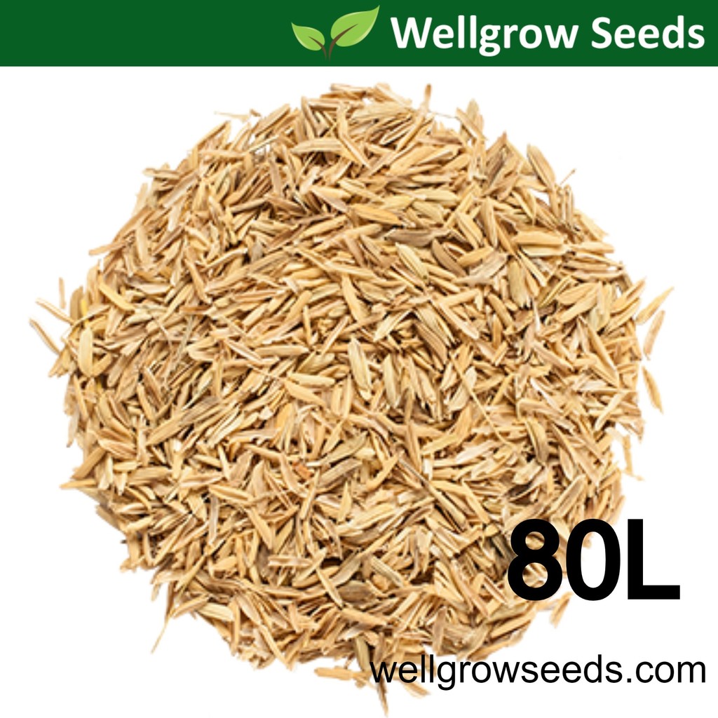 80L Rice Husk Raw/Sekam Padi (8++kg) Rice Hull (稻壳) | Shopee Malaysia