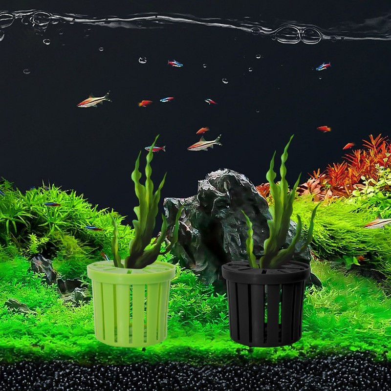 Picture Idea: Aquarium Plant Basket 4 Pack Plastic Root Fixer For Aquatic