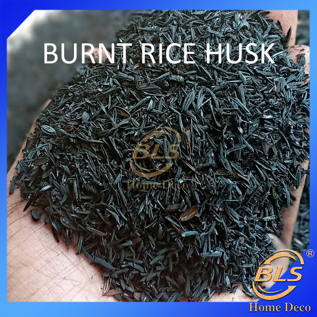 Burnt Rice Husk Charcoal Powder Soil Sekam Padi Bakar 稻米壳碳 | Shopee ...