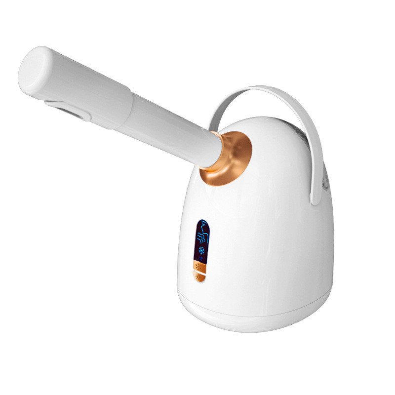 Household Hot and Cold Facial Steaming Device Beauty Salon Small ...