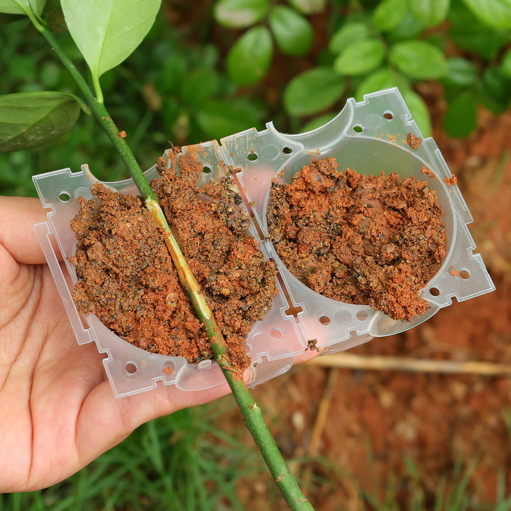 Creative Plant Rooting Graft Ball - Portable High Pressure Breeding ...