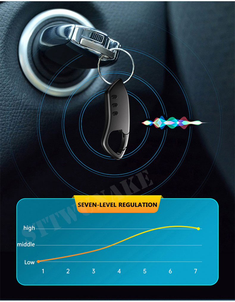 STTWUNAKE Mini Voice Activated Recorder Spy Digital Audio Recording ...