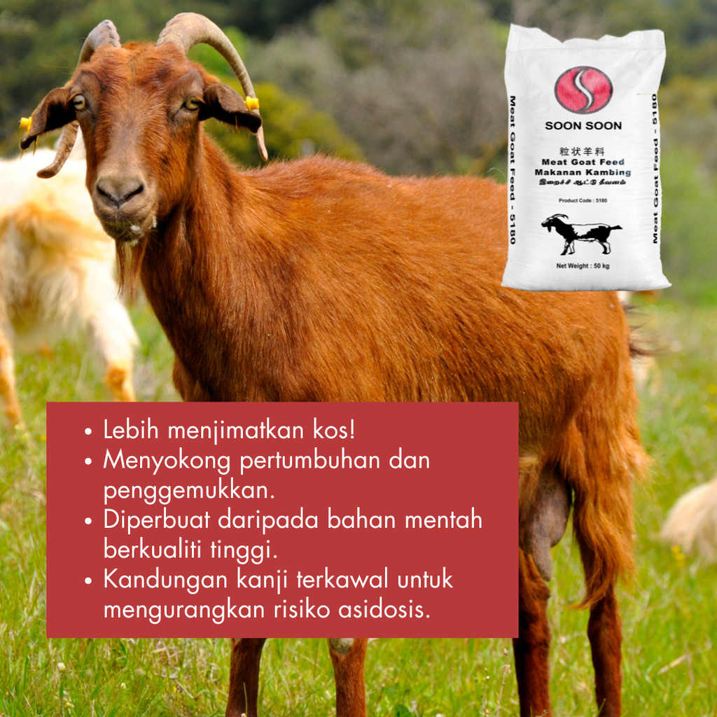 [5KG] [REPACK] [5180] MAKANAN KAMBING JENAMA SOON SOON | GOAT PELLET ...