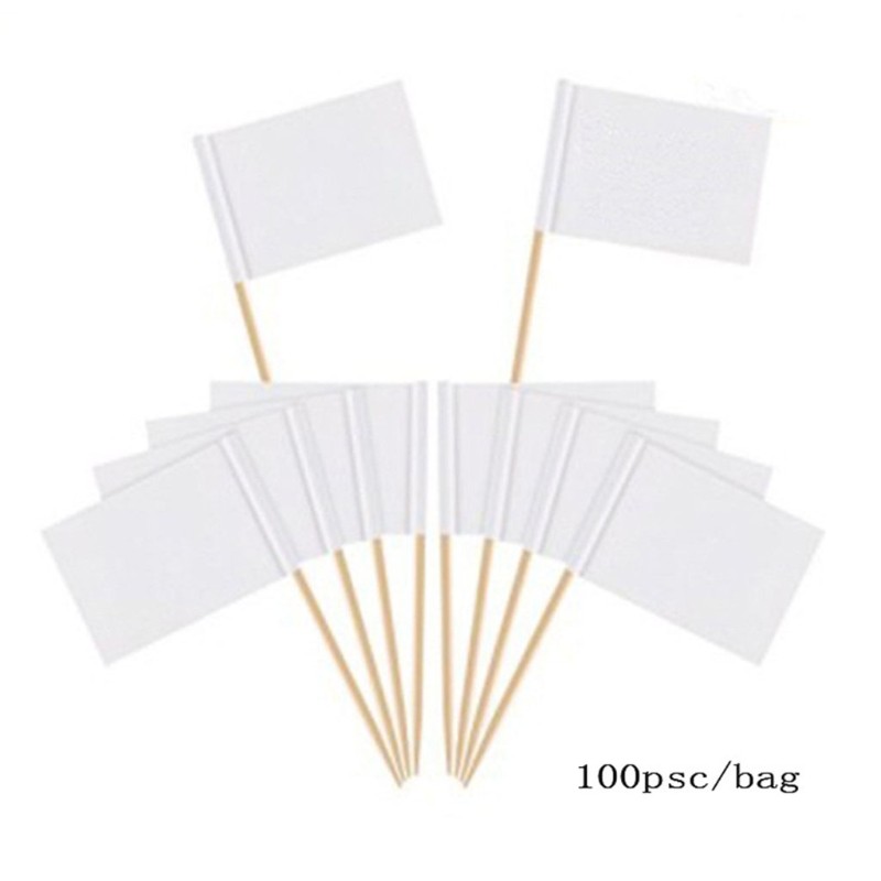 100 Pieces Blank Toothpick Flags Mini Food Labels with Wooden Sticks ...