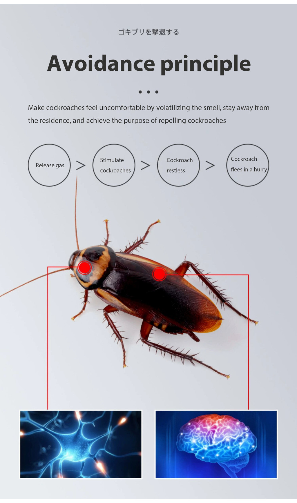 10000M without cockroaches CG Cockroaches repellent Cockroaches killer ...