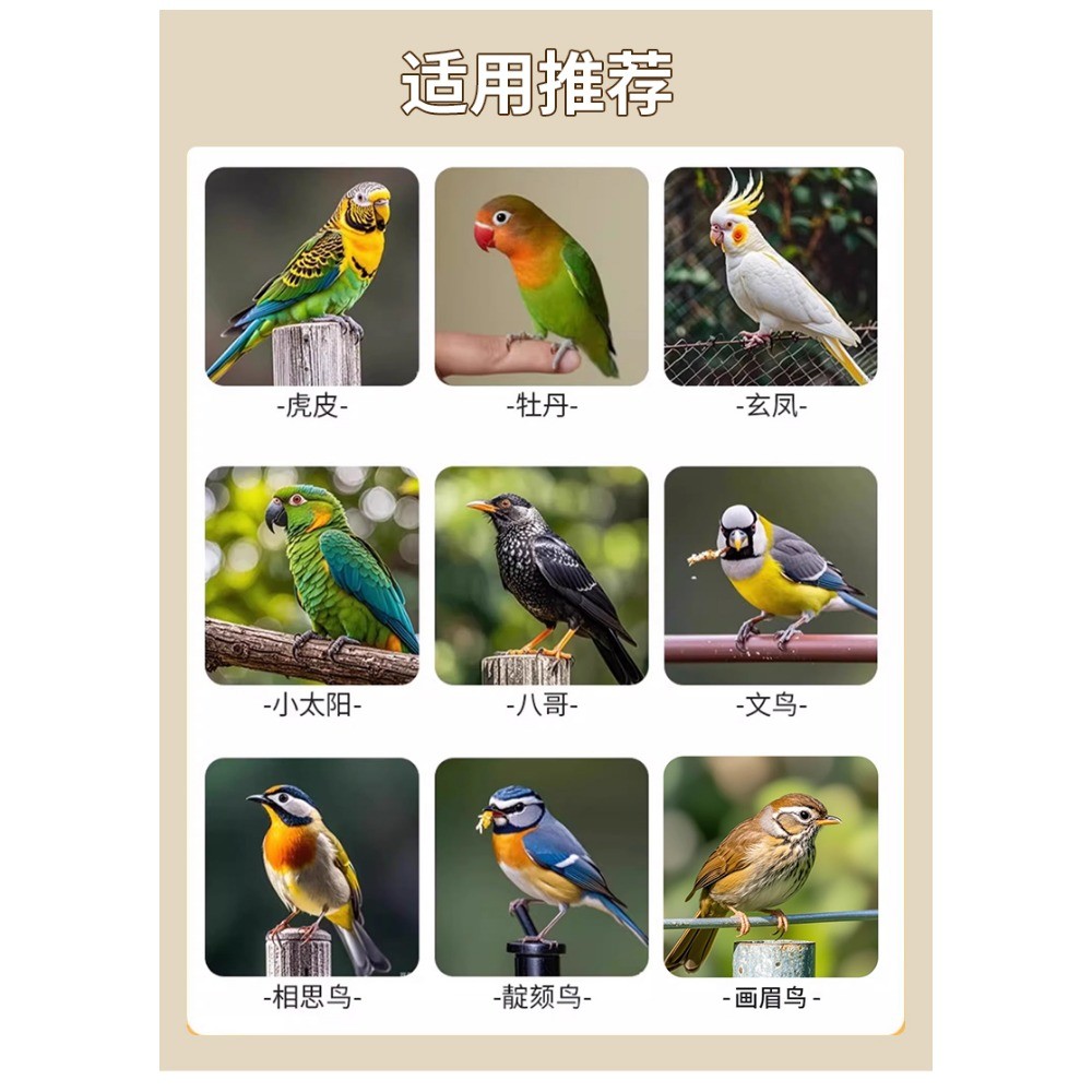 Illustration of High-Rise Bird Cage For Multiple Cockatiels