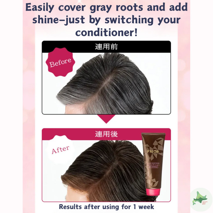 Color Conditioner N Shiseido PRIOR | Shopee Malaysia