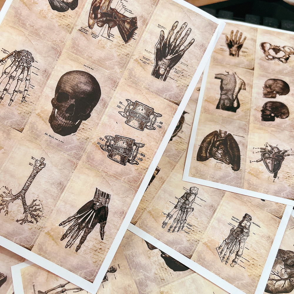 54 Sheets Human Body Skeleton Schematic Chart Stickers Luggage Pens ...