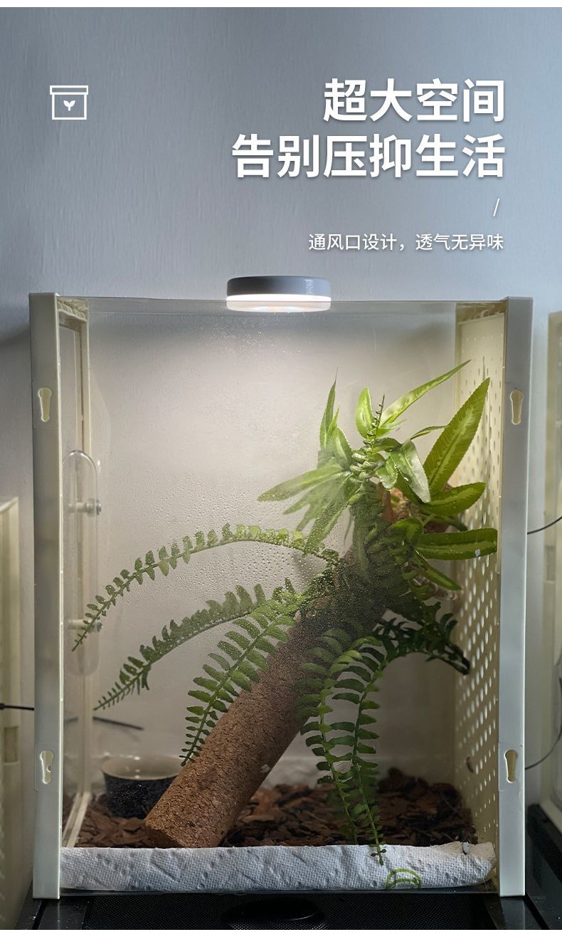 Leopard Print Gecko Breeding Box Transparent Climbing Pet Breeding Box ...