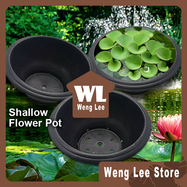 Thailand Shallow Flower Pot For Water Lily Lotus Water Plant / Pasu ...