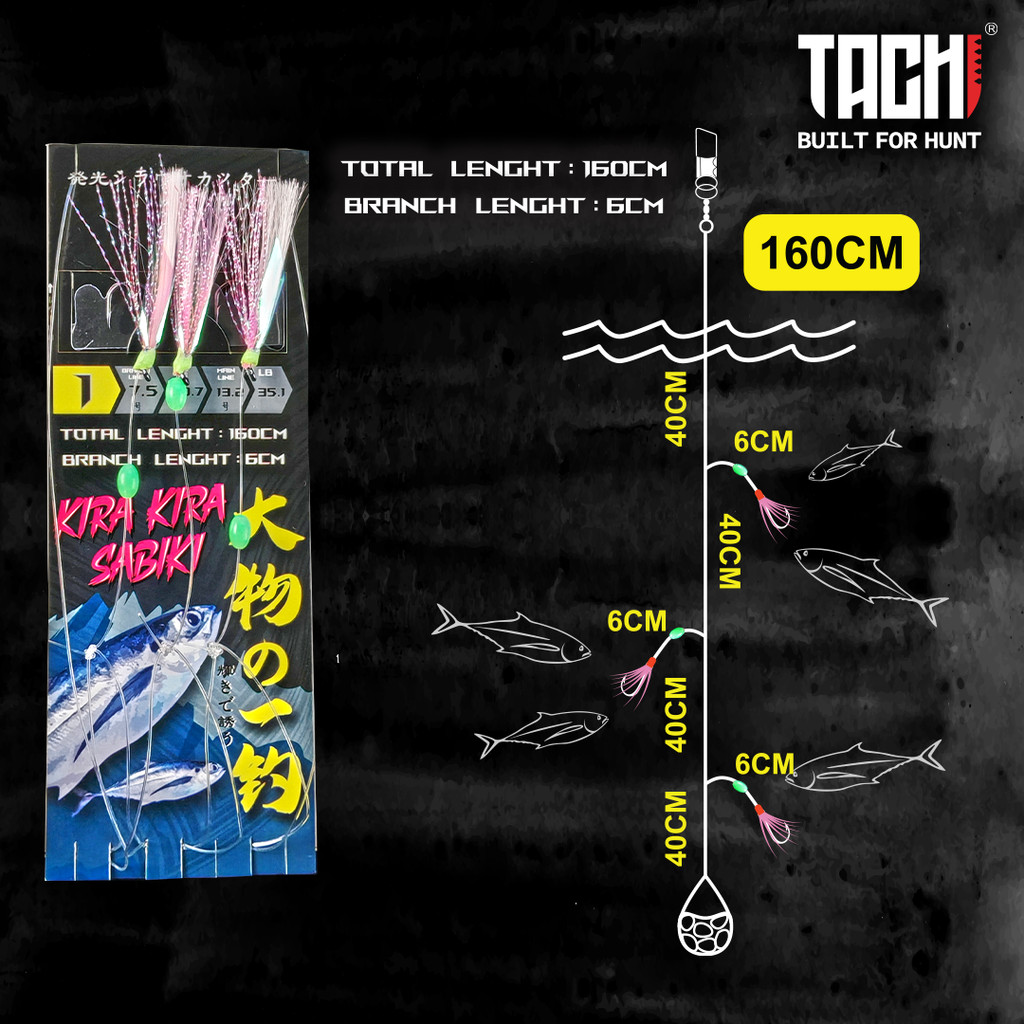 TACHI KIRA-KIRA Apollo Sabiki Luminous Day Night Fishing Apollo Rig ...