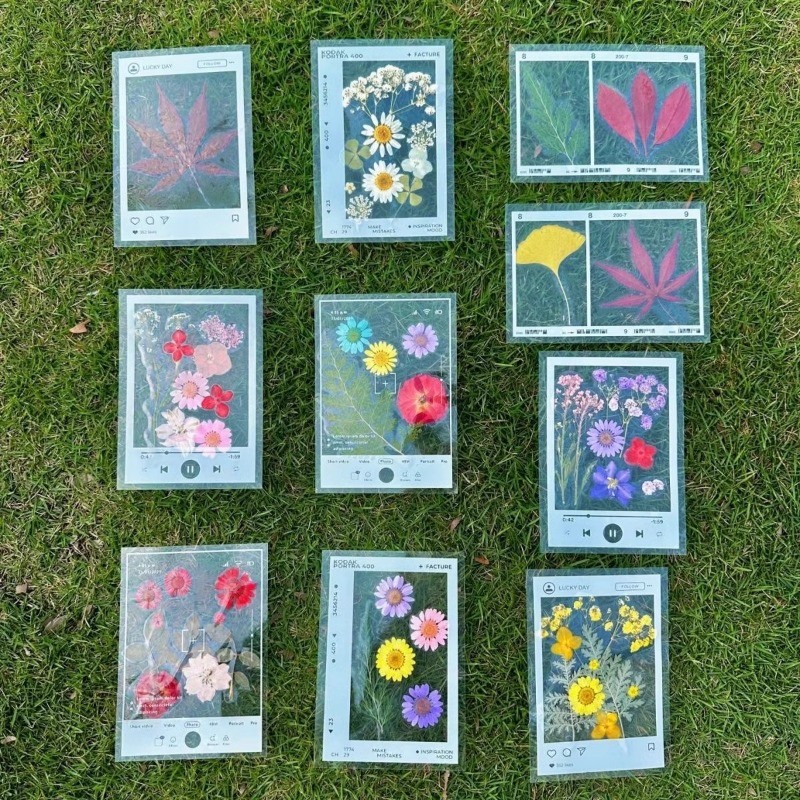 Fun Practical DIY Transparent Specimen Bookmark- Creative Photo Frame ...