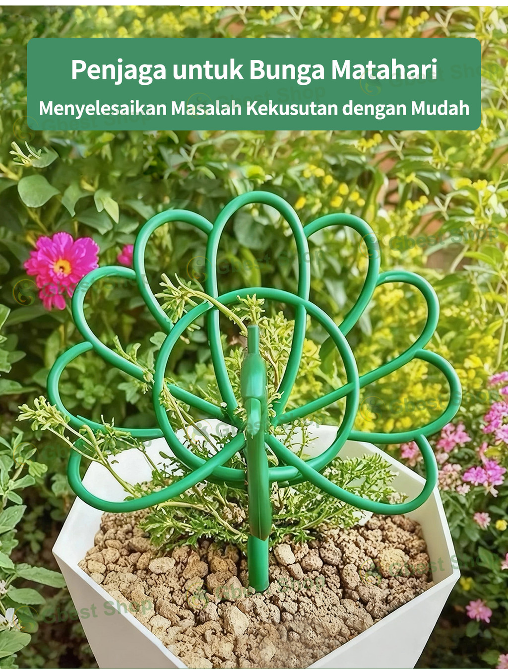 Gbest Penyokong Pokok Bentuk Merak Peacock Plant Support Stand stick ...