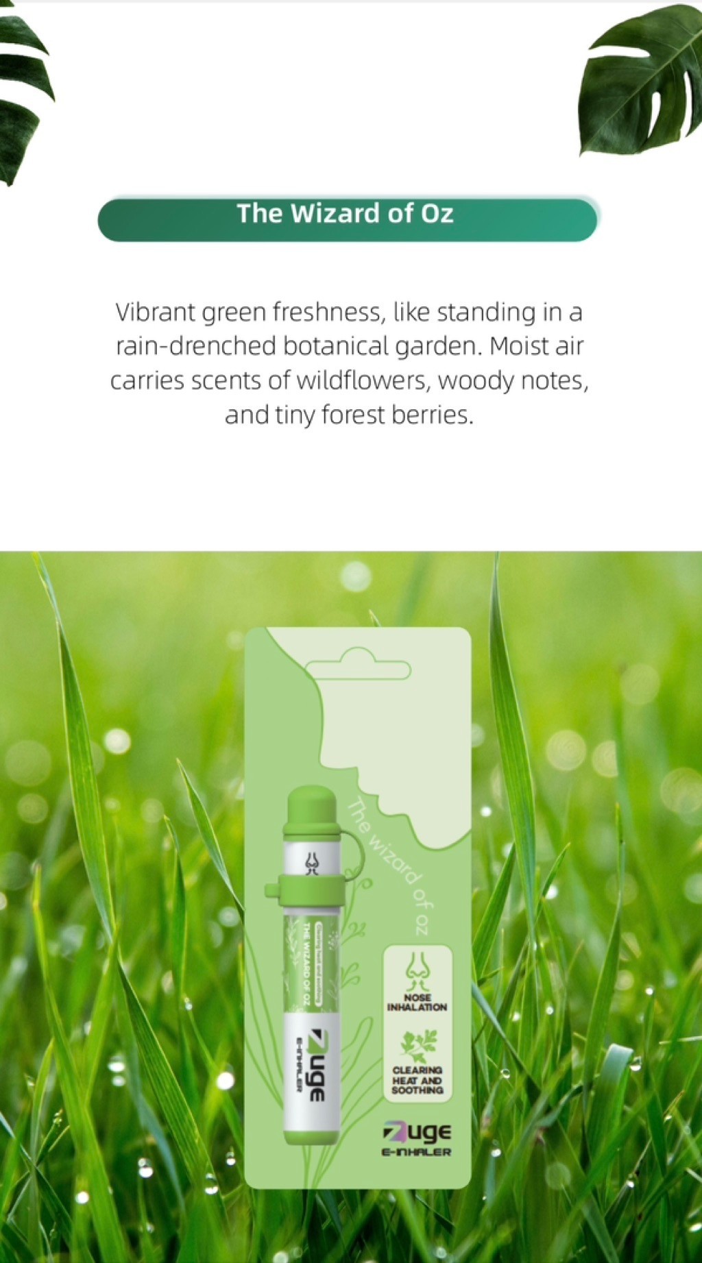 Zuge E-Inhaler Wholesale available | Shopee Malaysia