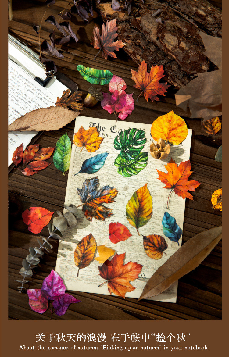 Material Sticker Pack - Autumn Leaves Series (20 Sheets of Fall Leaf ...