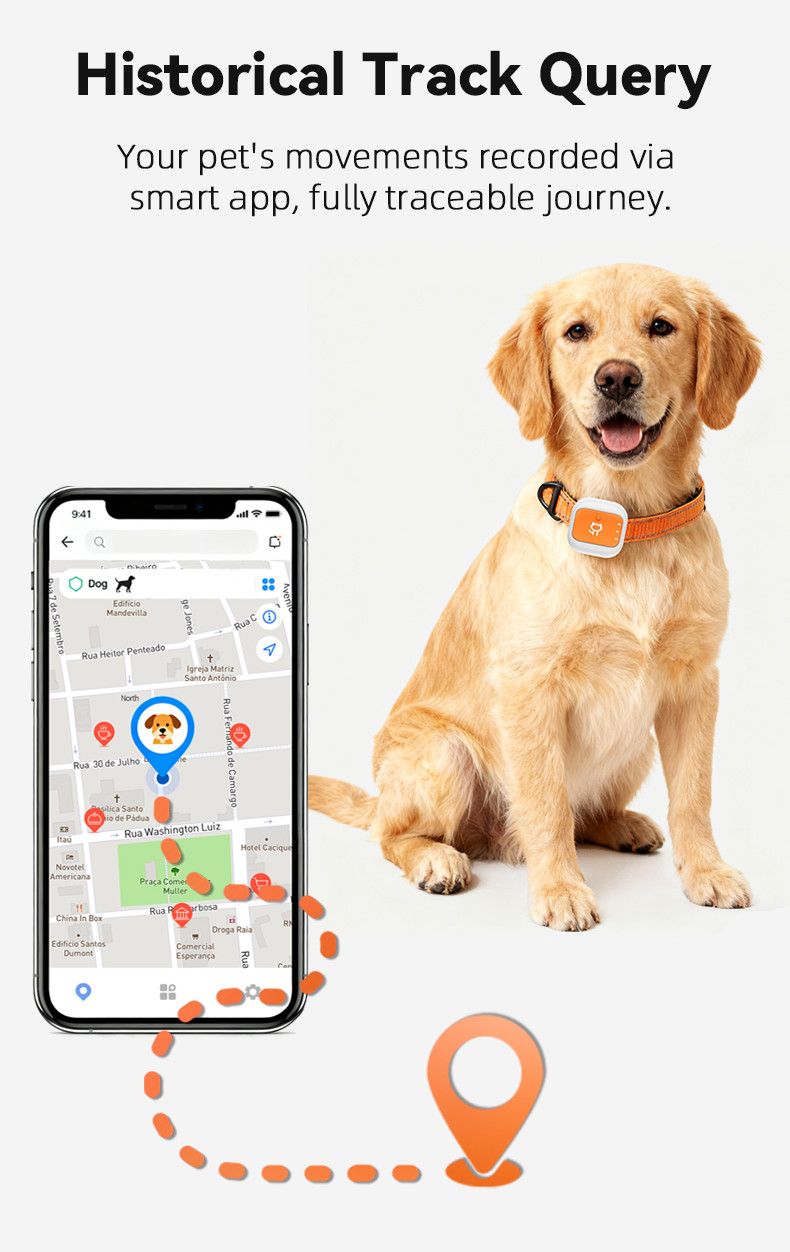 Gallery Detail: 4G Pet Gps Tracker For Cats Dogs Real Time Gps
